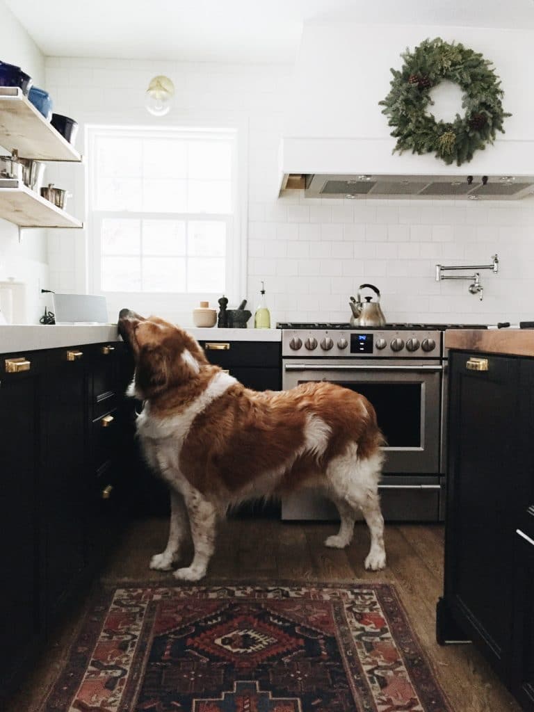 How We Keep Our Home Clean with a Big, Hairy Dog | Chris Loves Julia