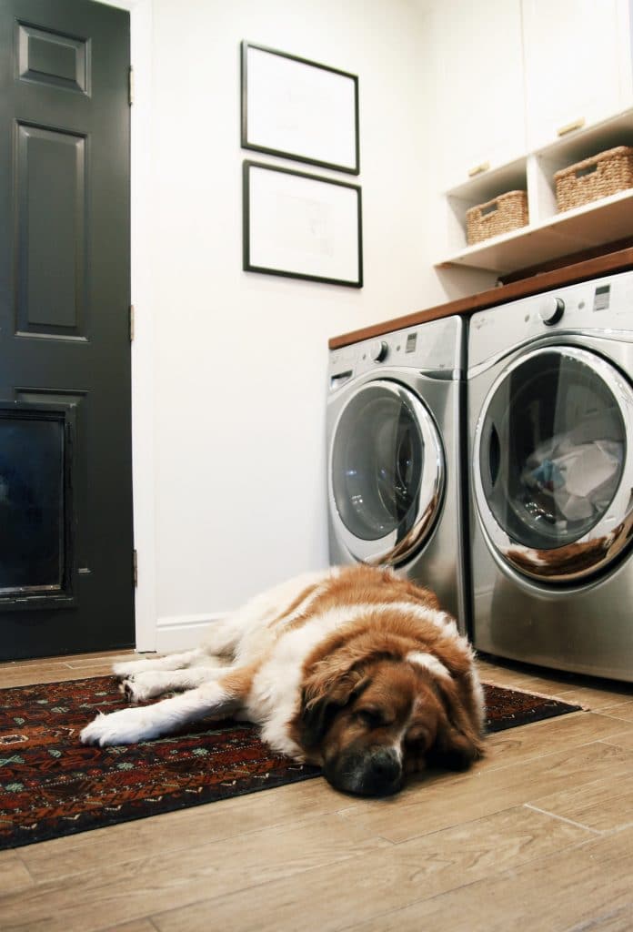 How We Keep Our Home Clean with a Big, Hairy Dog | Chris Loves Julia