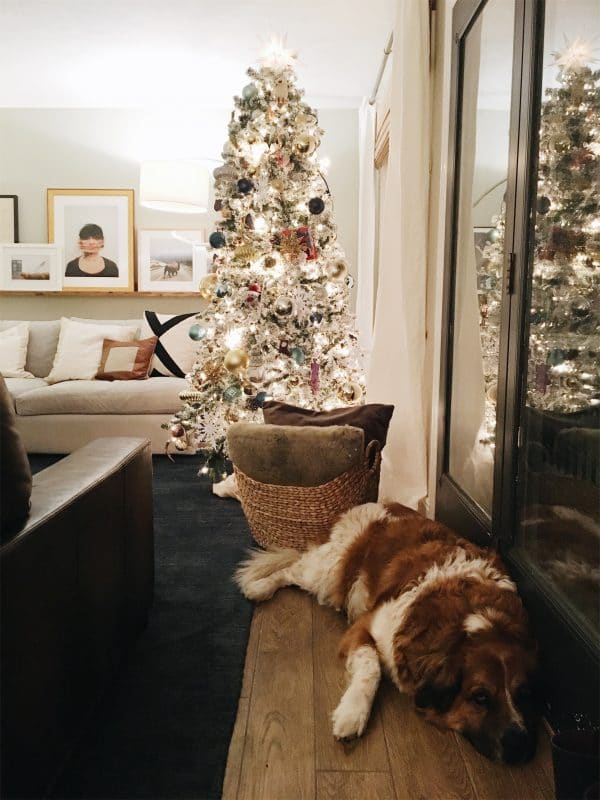 Christmas Around the House - Chris Loves Julia