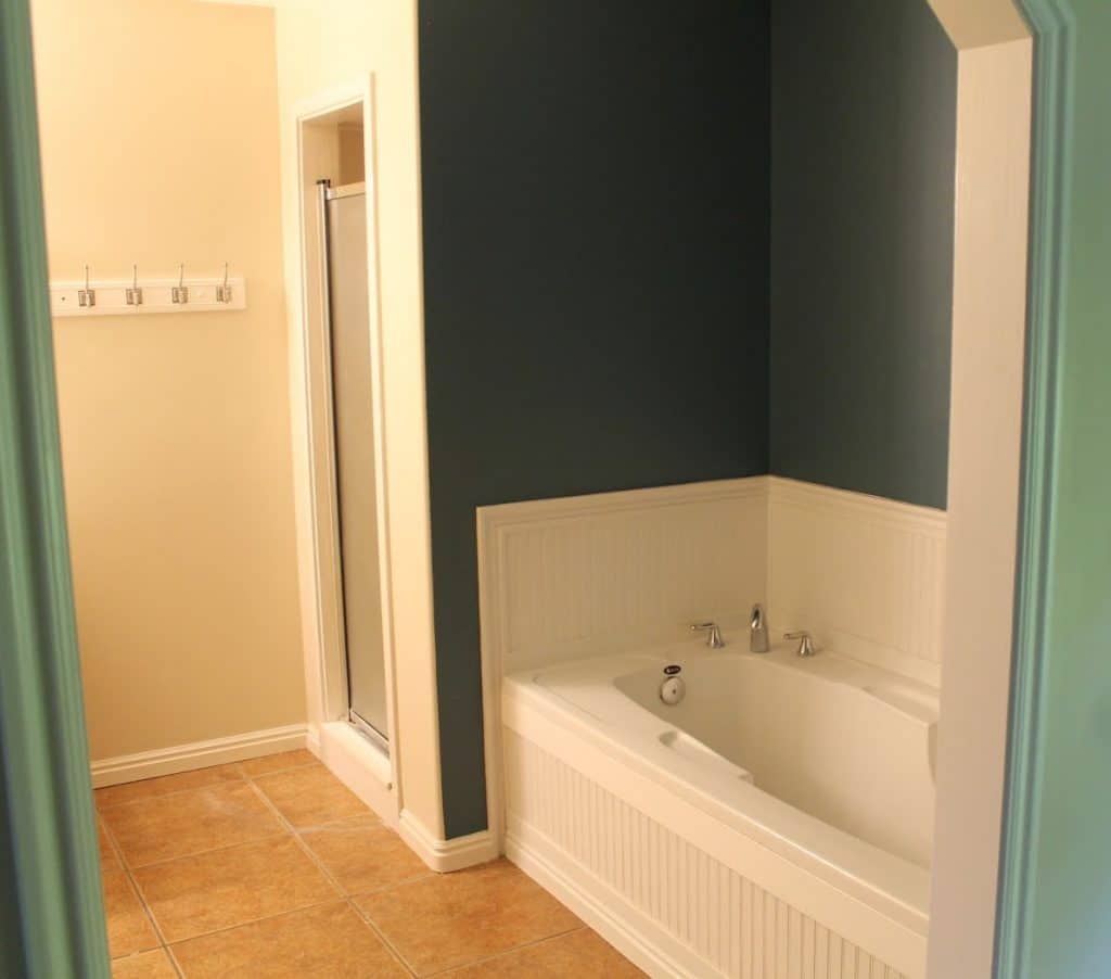 Would You Rather Tub Vs Shower, Small Built In Bathtubs