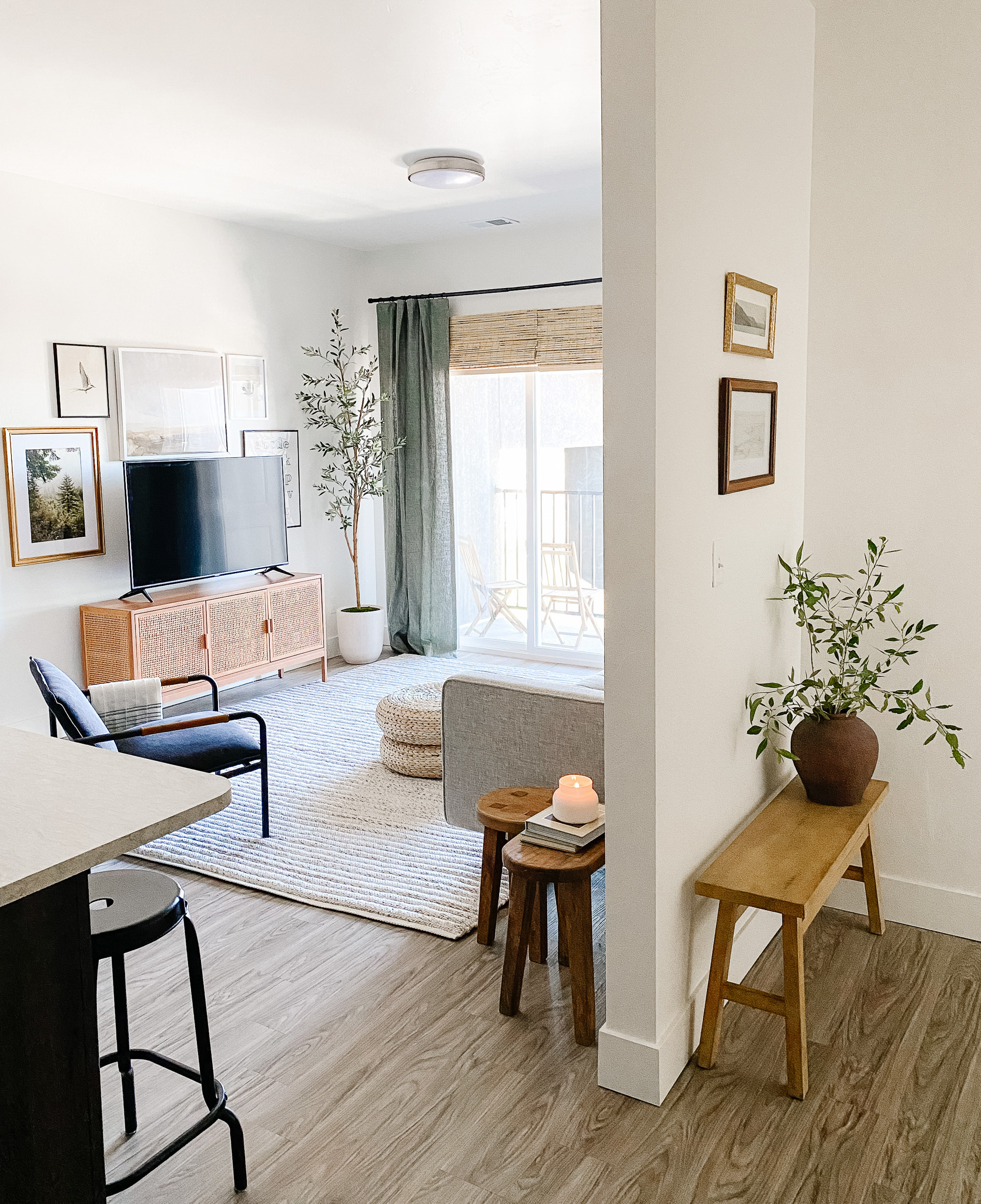 20 Budget-Friendly Apartment Living Room Decor Ideas
