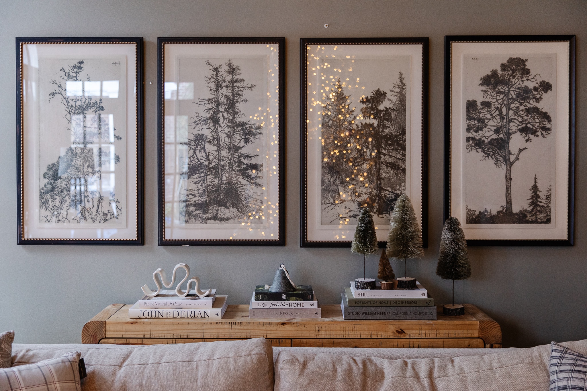 Winter Stems and Branches—A Few of My Favorite Things - Chris Loves Julia